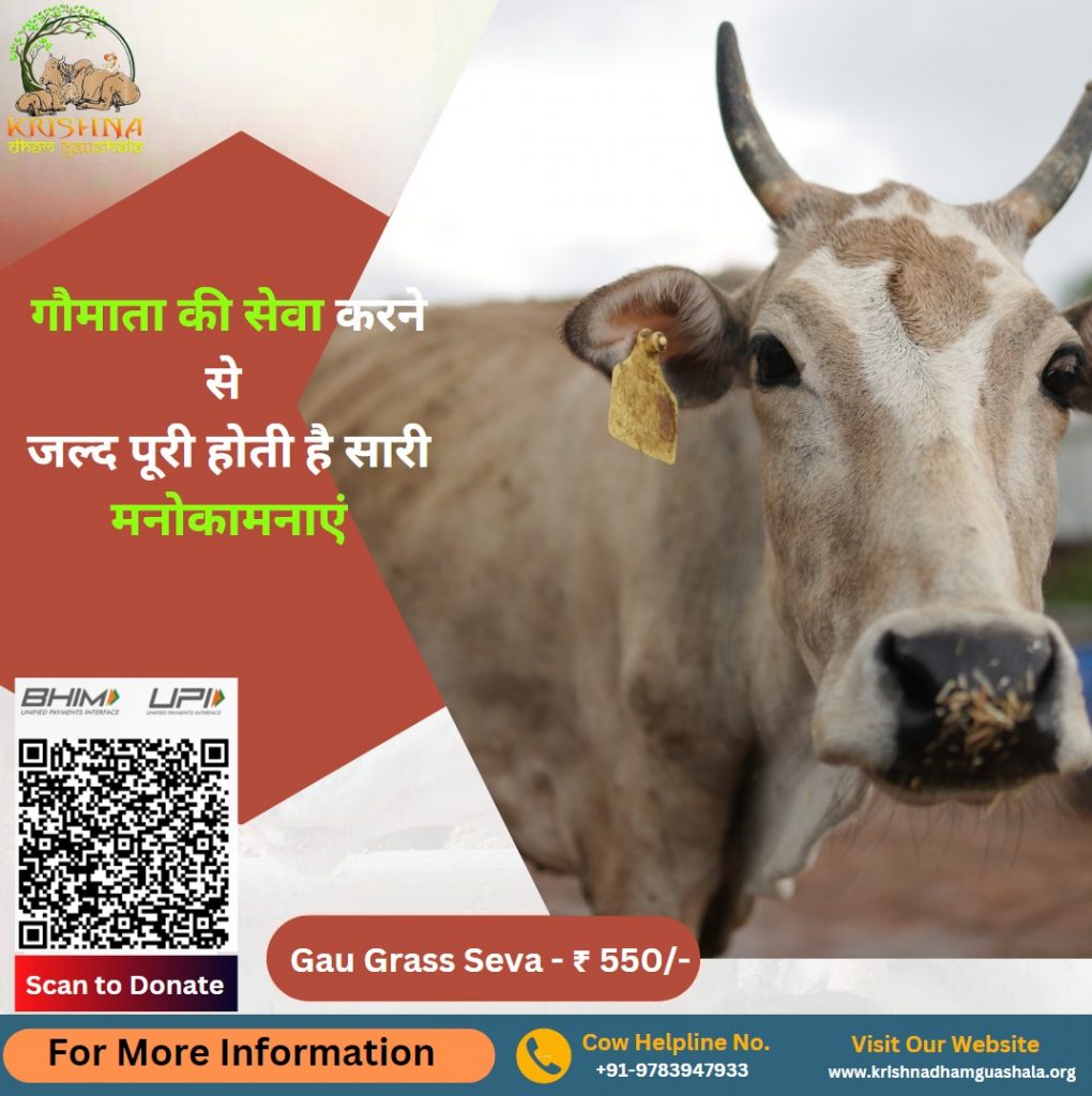 गौमाता की सेवा करें