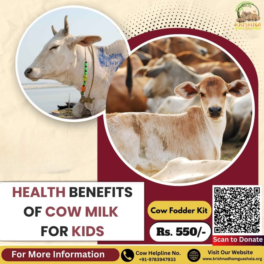 Health Benefits of Cow Milk for Kids