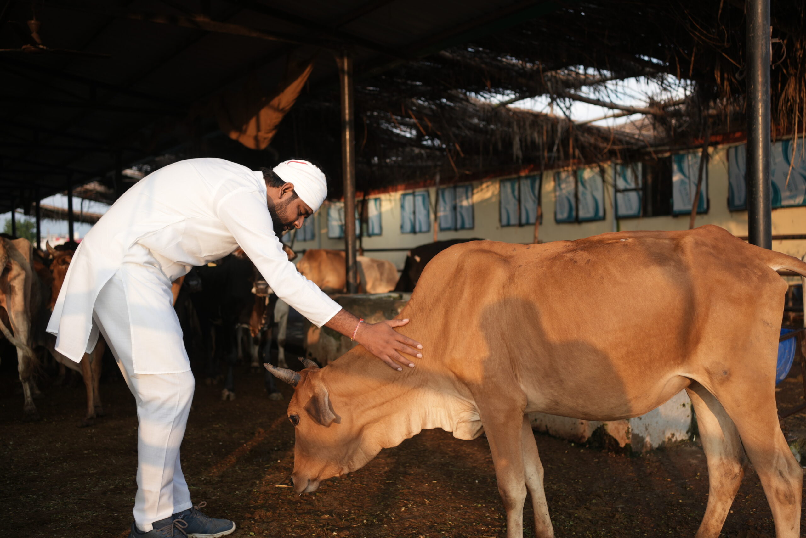 Best Gaushala of Uttarakhand-E