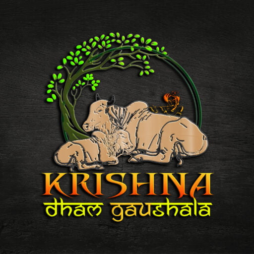 Website Logo