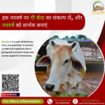 Do Gau Seva on New Year