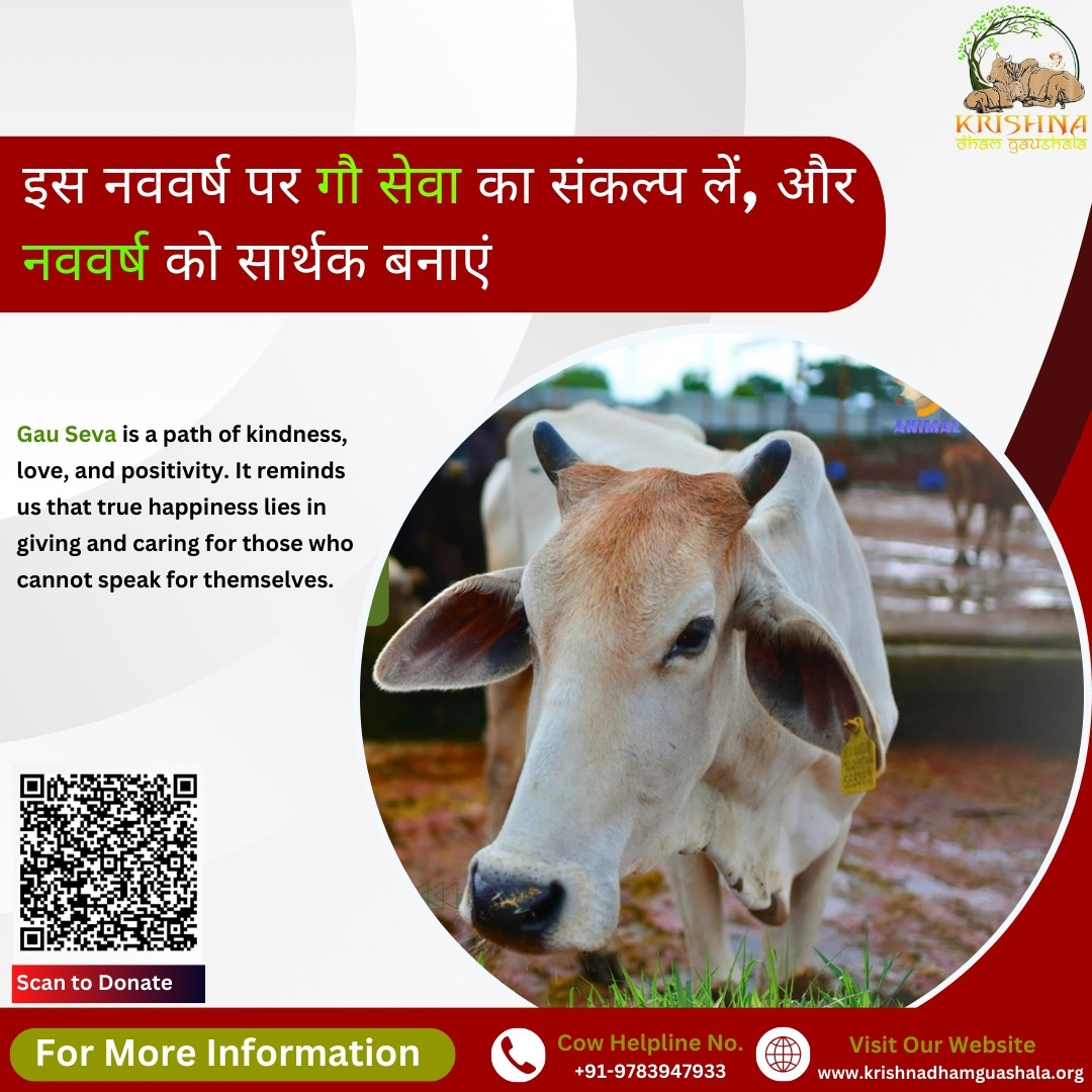 Do Gau Seva on New Year