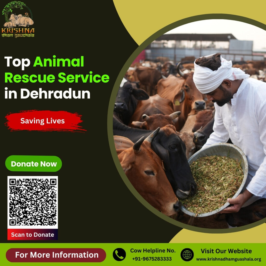 Top Animal Rescue Service in Dehradun