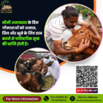 Donate on Mauni Amavasya