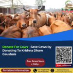 Donate For Cows