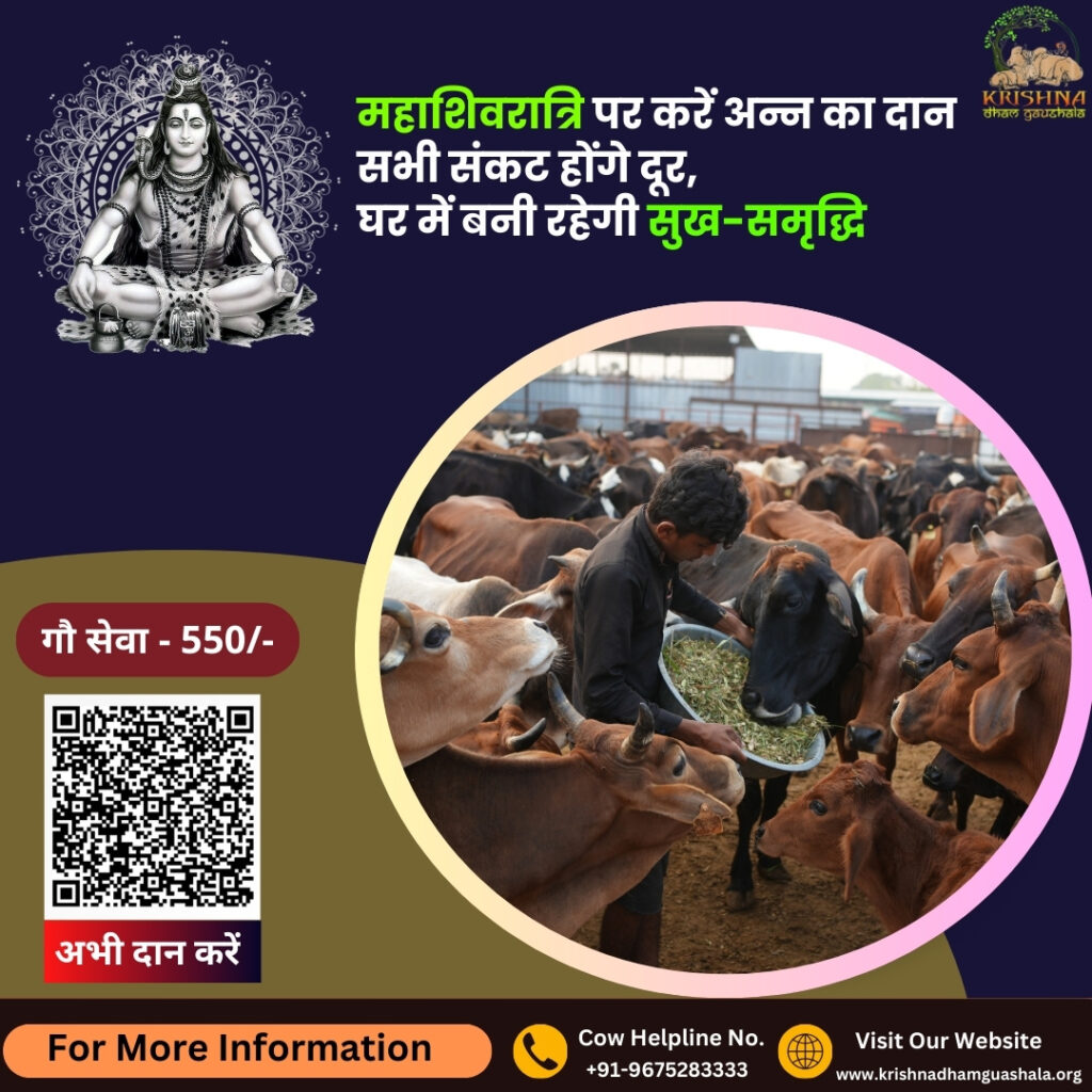 Donate on Maha Shivratri