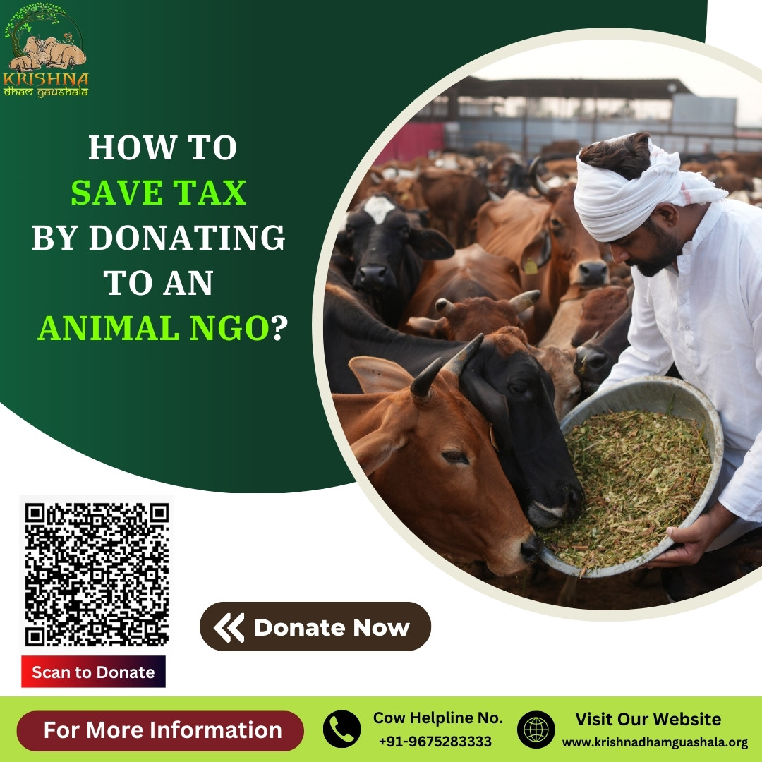 How To Save Tax By Donating to an Animal NGO