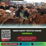 Gaushala