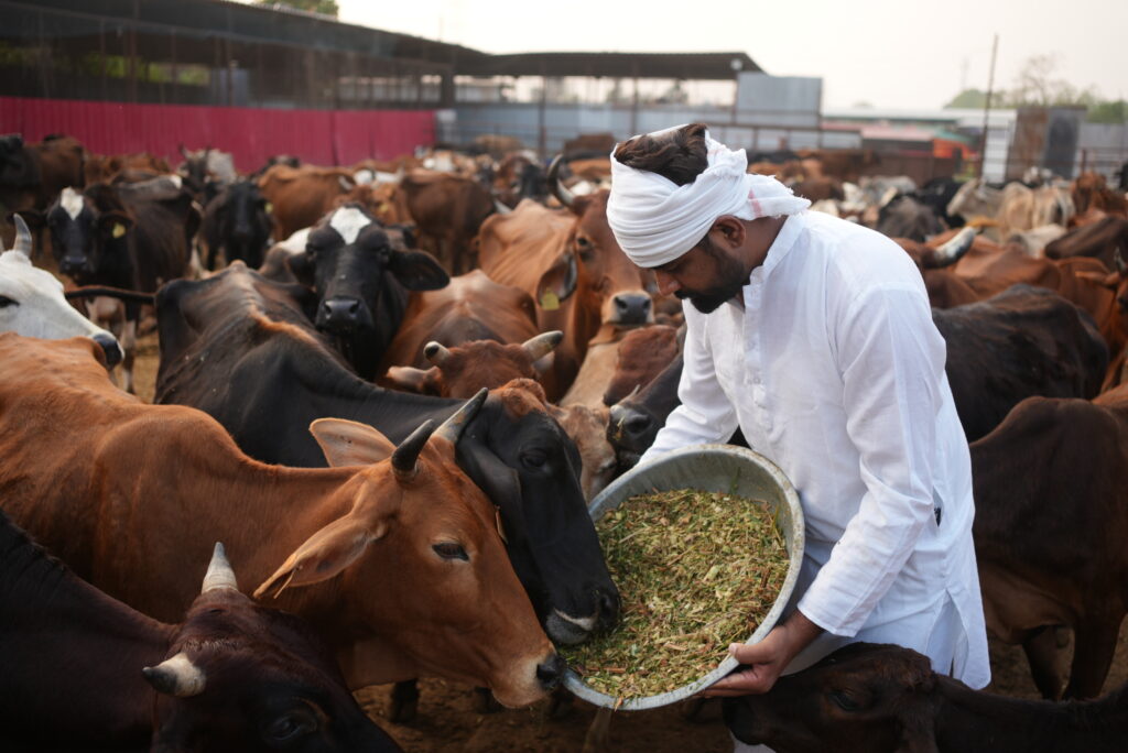 Shaniwar Ke Upay -A
