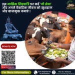 Donate on Masik Shivratri 2025
