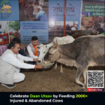 Daan Utsav