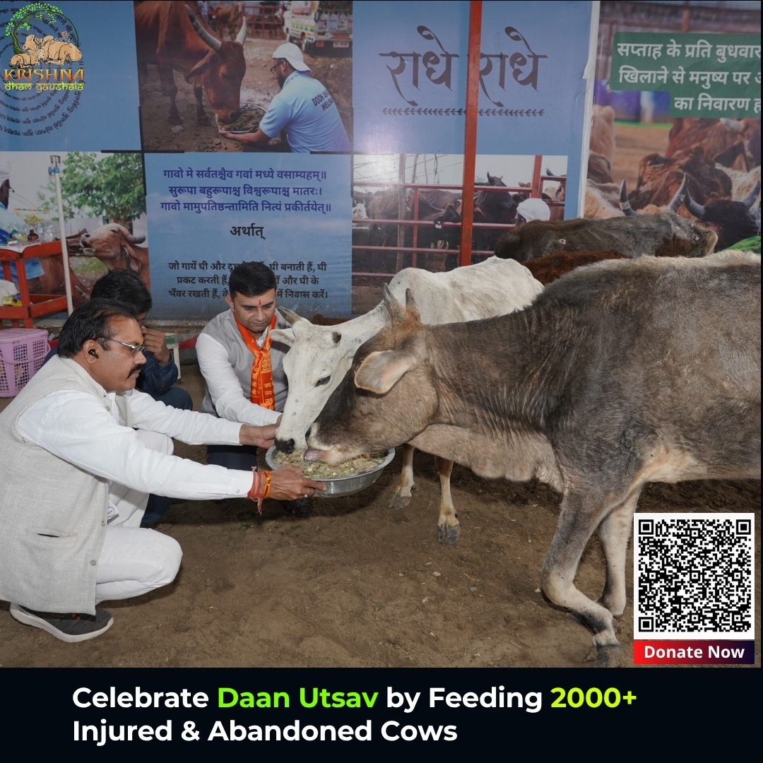 Daan Utsav