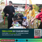Donate on Birthday